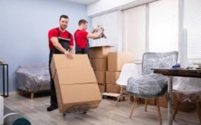 Best Movers in Al Ain