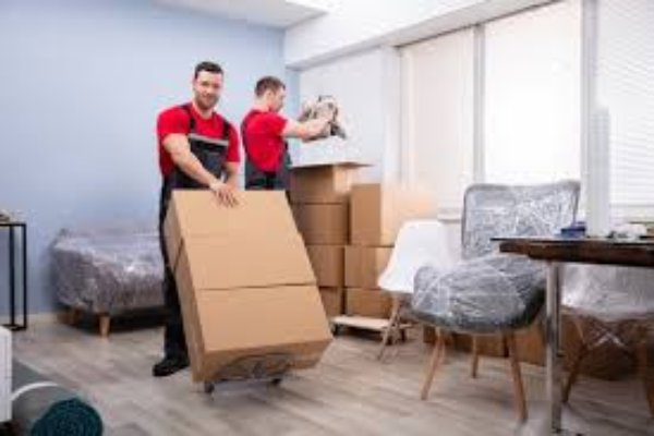 Best Movers in Al Ain